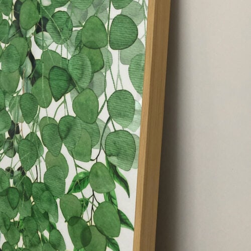 Cuadro Plants 40 x 60 cm. /39 x 59 cm. - Imagen 5
